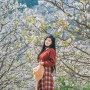 加级寨梨花谷 - 红河哈尼族彝族自治州旅游 缩略图 1