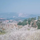 加级寨梨花谷 - 红河哈尼族彝族自治州旅游 缩略图 8