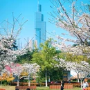 和平公园 - 南京市旅游 缩略图 2