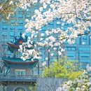 和平公园 - 南京市旅游 缩略图 5