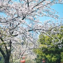 和平公园 - 南京市旅游 缩略图 7