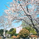 和平公园 - 南京市旅游 缩略图 9