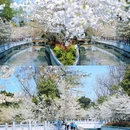 珍珠河 - 南京市旅游 缩略图 5