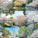 珍珠河 - 南京市旅游 缩略图 1