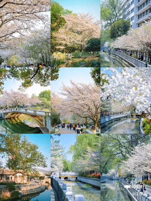 珍珠河 - 南京市旅游