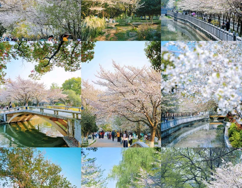 珍珠河 - 南京市旅游 1