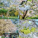 珍珠河 - 南京市旅游 缩略图 6