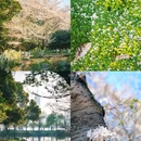 珍珠河 - 南京市旅游 缩略图 9