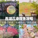 杭州花港观鱼 - 杭州市旅游 缩略图 1