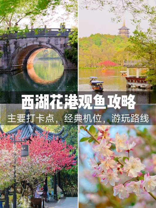 杭州花港观鱼 - 杭州市旅游