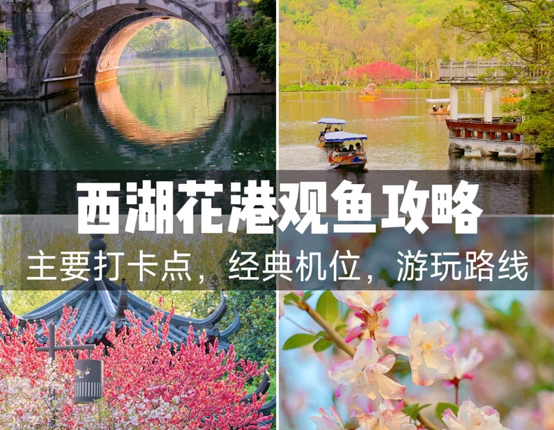 杭州花港观鱼 - 杭州市旅游 1