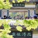 杭州花港观鱼 - 杭州市旅游 缩略图 2