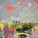杭州花港观鱼 - 杭州市旅游 缩略图 5