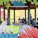 杭州花港观鱼 - 杭州市旅游 缩略图 7