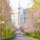 五大道公园 - 天津市旅游 缩略图 6
