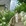 重庆市·重庆市铜锣花谷生态园