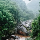 赤水游客中心 - 遵义市旅游 缩略图 5