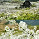 梨花读乡村图书馆 - 成都市旅游 缩略图 5