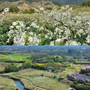 梨花读乡村图书馆 - 成都市旅游 缩略图 3