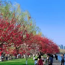 杭州西湖 - 杭州市旅游 缩略图 1