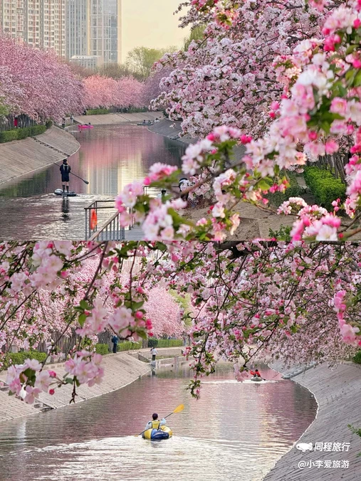 望京海棠花溪 - 北京市旅游