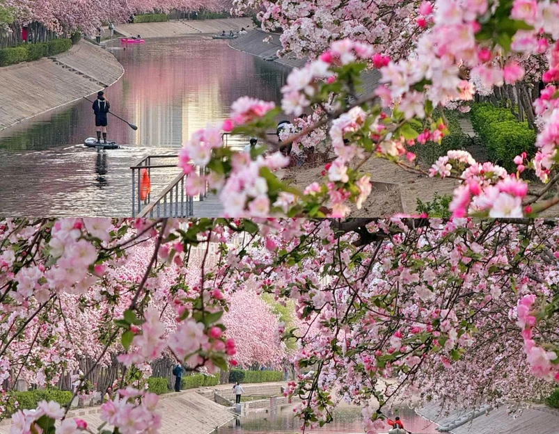 望京海棠花溪 - 北京市旅游 1