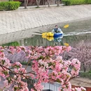 望京海棠花溪 - 北京市旅游 缩略图 2
