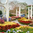 笔架山公园 - 深圳市旅游 缩略图 1