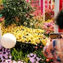笔架山公园 - 深圳市旅游 缩略图 8