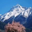 玉松村 - 林芝市旅游 缩略图 2