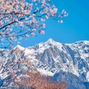 玉松村 - 林芝市旅游 缩略图 4