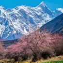 玉松村 - 林芝市旅游 缩略图 8