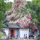 深圳国际园林花卉博览园 - 深圳市旅游 缩略图 3