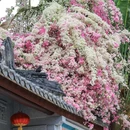 深圳国际园林花卉博览园 - 深圳市旅游 缩略图 4