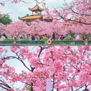 紫泥堂 - 广州市旅游 缩略图 3