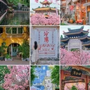 紫泥堂 - 广州市旅游 缩略图 1