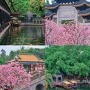 紫泥堂 - 广州市旅游 缩略图 2