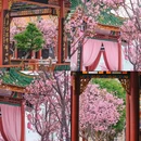 紫泥堂 - 广州市旅游 缩略图 5