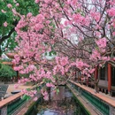 紫泥堂 - 广州市旅游 缩略图 4