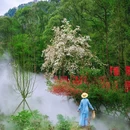 丹景山旅游景区 - 成都市旅游 缩略图 3