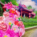 丹景山旅游景区 - 成都市旅游 缩略图 1