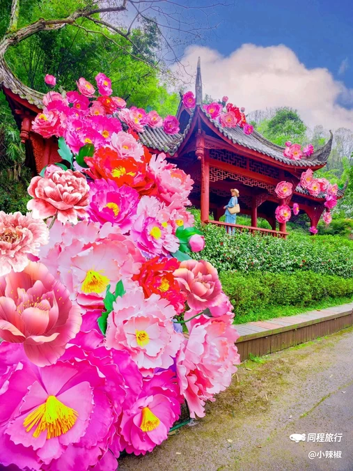 丹景山旅游景区 - 成都市旅游