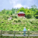 丹景山旅游景区 - 成都市旅游 缩略图 6