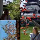 永庆坊 - 广州市旅游 缩略图 2