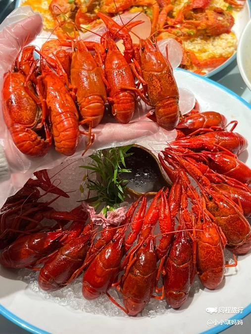 杨氏青龙虾(托乐嘉店) - 南京市旅游