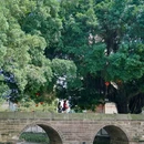 珠江三角洲地区平和商会 - 深圳市旅游 缩略图 8