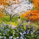 共青国家森林公园-松涛瀑布 - 上海市旅游 缩略图 5