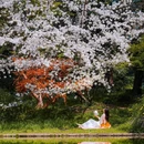 共青国家森林公园-松涛瀑布 - 上海市旅游 缩略图 3