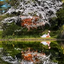 共青国家森林公园-松涛瀑布 - 上海市旅游 缩略图 6