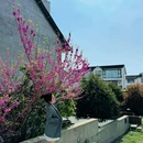 大乐之野民宿(昆山锦溪店) - 苏州旅游 缩略图 6